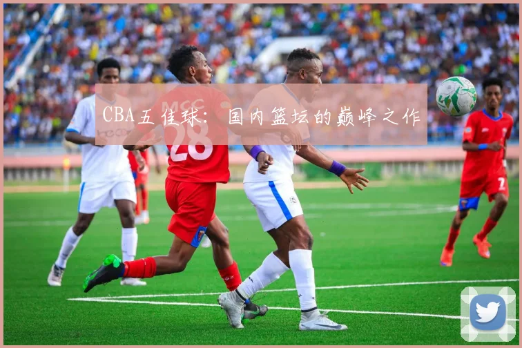 CBA五佳球：国内篮坛的巅峰之作